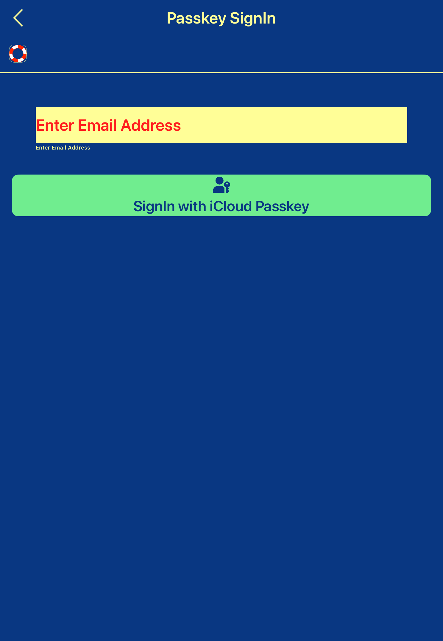 App Sign In - iPad